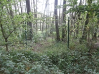 Slatina a� mo��l, pro jistotu rad�ji za plotem