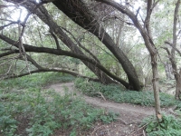 Cesta je pro�lapan� ...