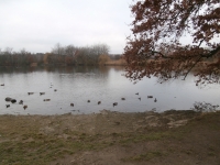 ... ov�em panel�ky Opatova je pot�eba cudn� schovat t�eba za n�jakou v�tev