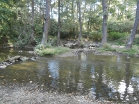 Na prot�j��m b�ehu se vl�v� do Boti�e Ko��kovsk� potok