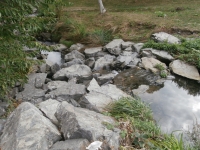 Odtok z toho prvn�ho jez�rka, potok nap�j� je�t� dal��ch p�t n�dr�� ne� se vlije u Z�b�hlick�ho z�mku do Boti�e