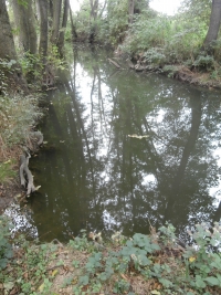 U mo��lu je d�ky jezu klidn� hladina