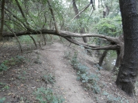 ... ale �dr�ba skute�n� jen ta nejnutn�j��