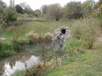 Opravdu pramen jednoho z p��tok� Boti�e kousek od panel�k�