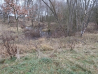 Mimo zpevn�n� cesty se tu v�t�inou nechod�