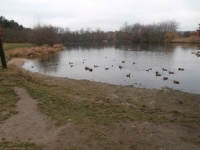 Mil��ovsk� rybn�k bud� zd�n�, �e je v odlehl�ch pustin�ch ...