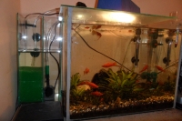 Extern filtr k akvriu - Foto