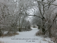 Ka�d�mu z V�s ! ! !