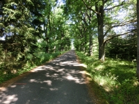 Kouzeln� cesta k Padr�sk�m rybn�k�m