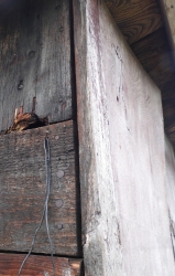 Bo�n� vlet do kr�l�k�rny