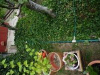 Pokra�ov�n� nakonec.