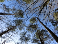 Na cest� za sv�tlem