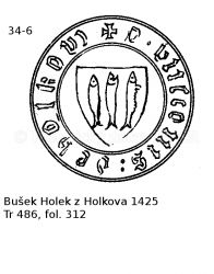 Bu�ek Holek z Holkova 1425