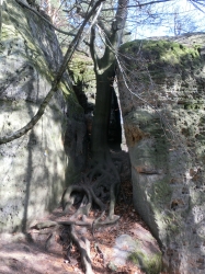 �ivot v sev�en� skal