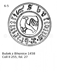 Buek z Beznice 1458