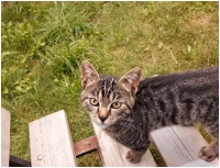 P�vodn� fotografie po��zen� narychlo