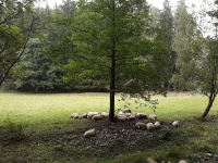 U eky Ostrun, pod hradem Velhartice