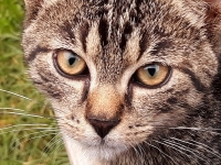 Druh� v��ez - V�sledek