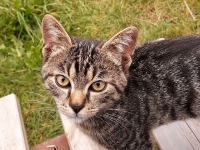 Prvn� v��ez - V�sledek