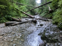 Such� Bel� - vstup