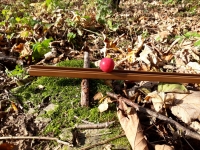 Balanc - Kuli�ka zde stoj� - neval� se po naklon�n� rovin� sm�rem dol�