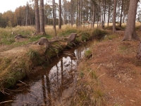 Potenci�ln� gravita�n� anom�lie Zlat� Hory - N�hon