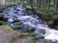 Hamerský potok - srdeční záležitost...