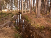 Potenci�ln� gravita�n� anom�lie Zlat� Hory - N�hon