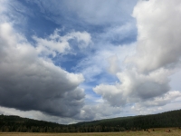 voda na cestě k nám ...