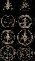 zhuovn podlnch vln v tle