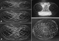 T�rus s dv�ma centry