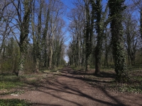 H�bitov chovanc� �stavu pro choromysln�, Praha - Bohnice