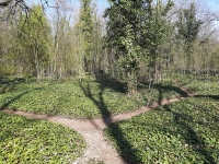 H�bitov chovanc� �stavu pro choromysln�, Praha - Bohnice