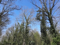 H�bitov chovanc� �stavu pro choromysln�, Praha - Bohnice