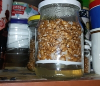 N�doba se substr�tem odd�len�m p�ep�kou od vody zaji��uj�c� vlhkost