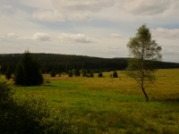 Prodn rezervace Zhsk pl, umava