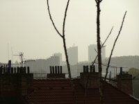 Saharsk� p�sek v Praze, 31. b�ezna 2024