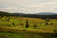 Zhsk louky - bval obec Zh, umava