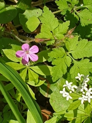 [3] pobl� Studen�ho vrchu