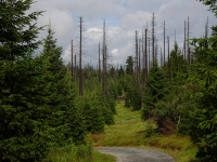 Z cesty na Poledn�k