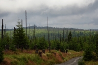 Z cesty na Poledn�k