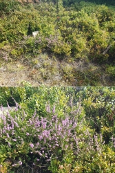 [4] nejenom bor�v��...