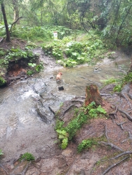 [6] Rad�i zkontroluju polskou hranici...